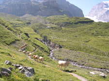 Dscn0353