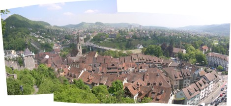Schlossruine_ost_2