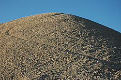 DSC_2006