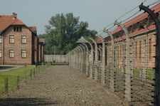 Dsc_0558 Dsc_0558
