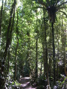 Dscn0147_1