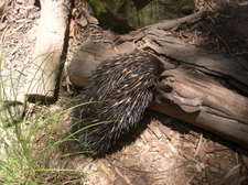 Dscn0152_74