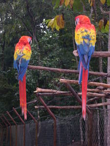 Dscn0237