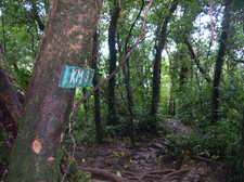 Dscn0532