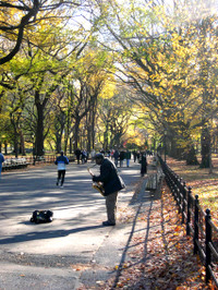 Dscn1208a